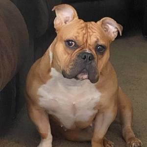 Meet your Posher, Bill